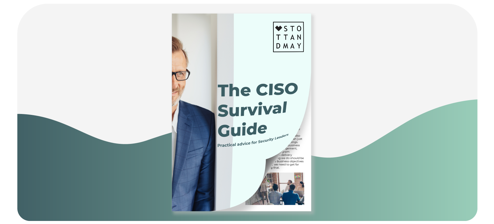 Stott and May CISO Survival Guide