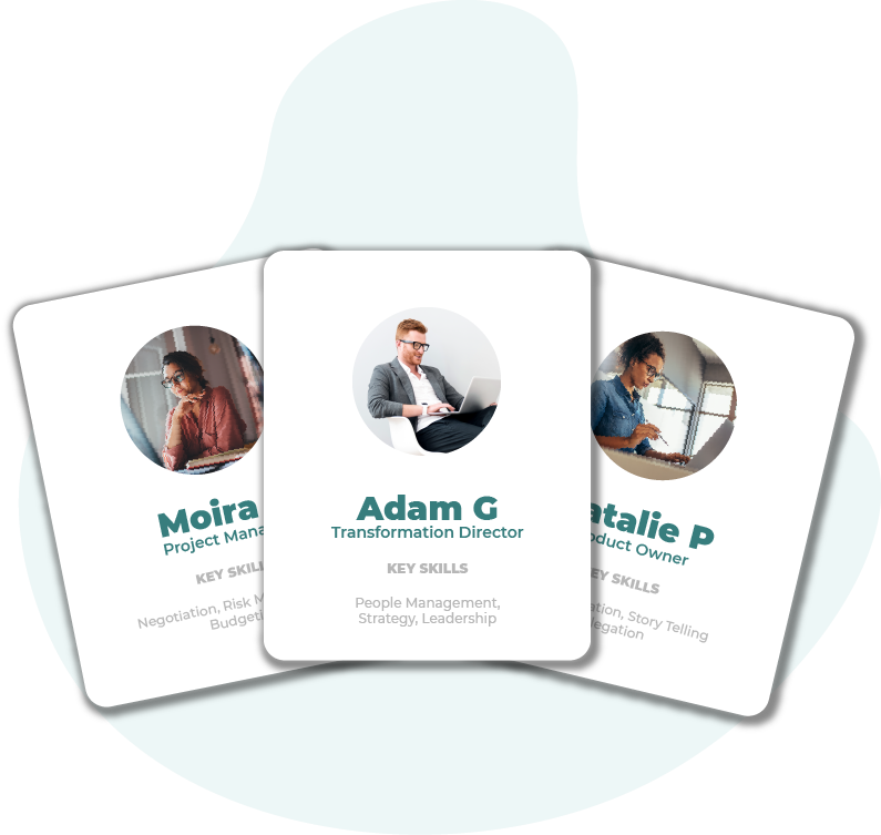Business change candidate profiles Business change candidate profiles