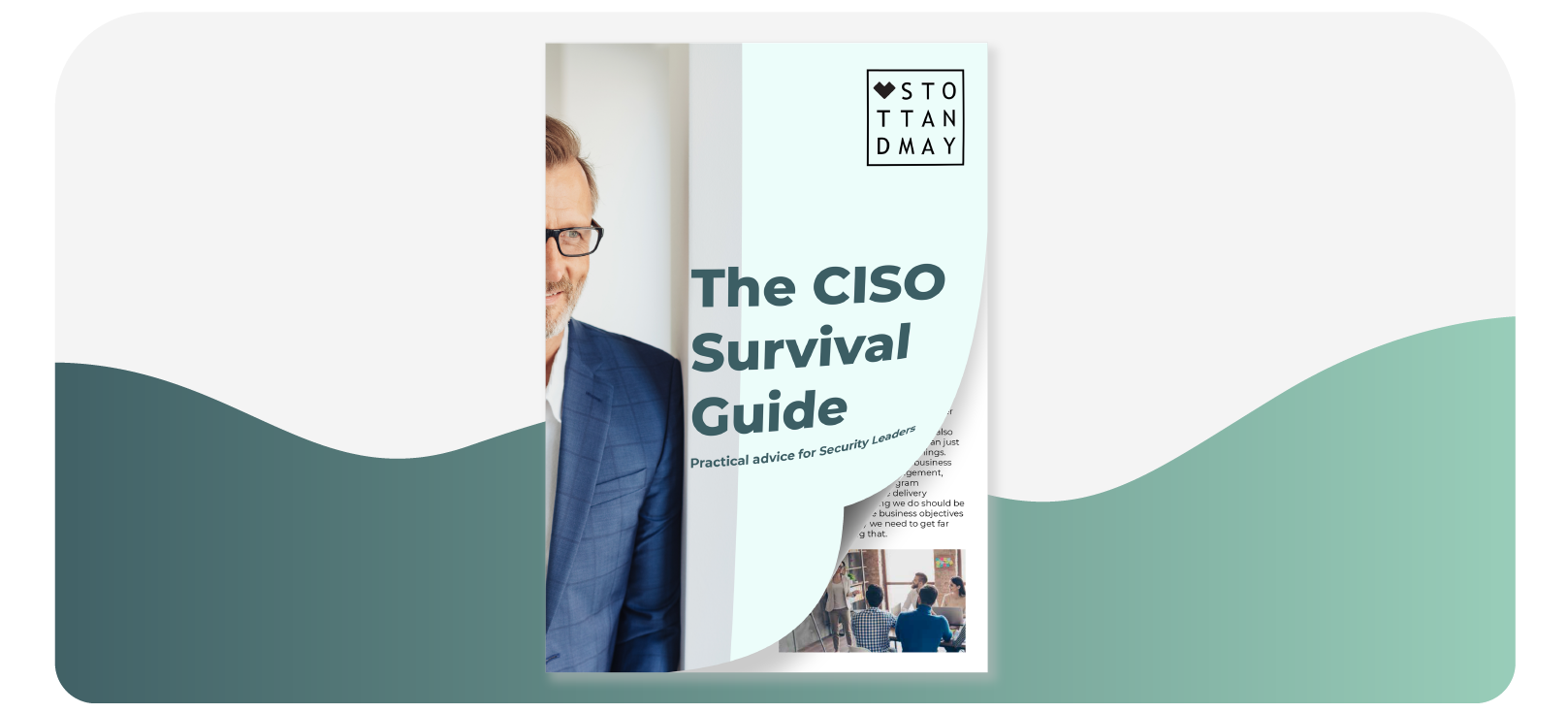 CISO Survival Guide - Stott and May 
